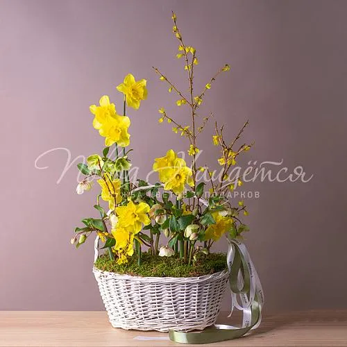 Букеты Букет Весенняя пташка