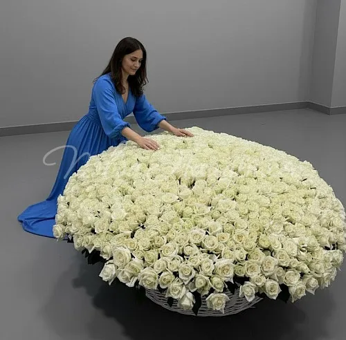 1001 роза Букет Брайтон