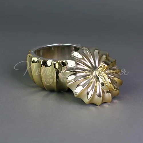 Сувениры Банка золото - Яблоко