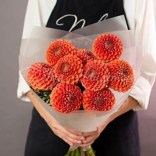 ГЕОРГИНЫ Букет Стихия огня