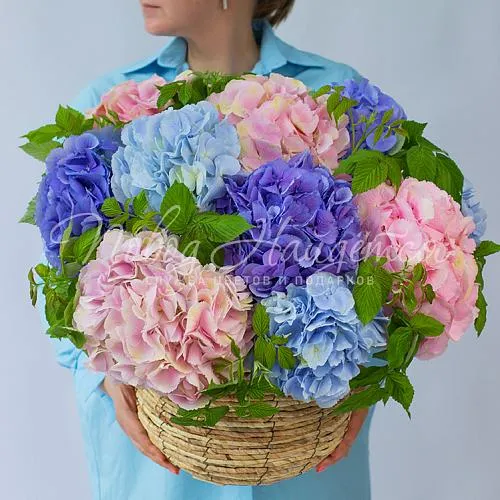 Дизайнерские корзины Корзина Звездная россыпь