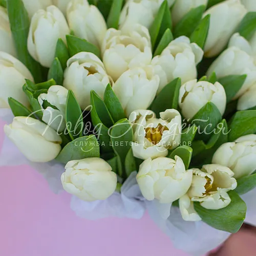 Моно Тюльпаны Букет Мечта принцессы