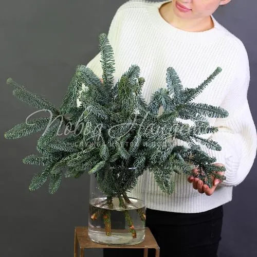 Новый год Букет Нобилиса