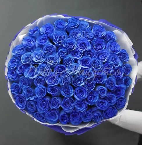 Синие розы Букет Итальянские Альпы