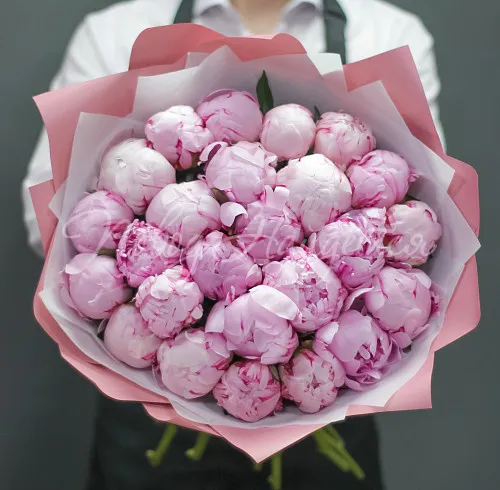 ПИОНЫ Букет Нежное облако