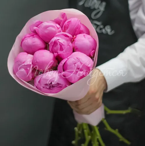 ПИОНЫ Букет Малиновый рай