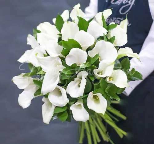 КАЛЛЫ Букет 29 белых калл