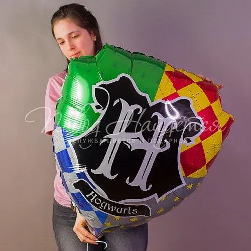 Фигуры большие Хогвартс