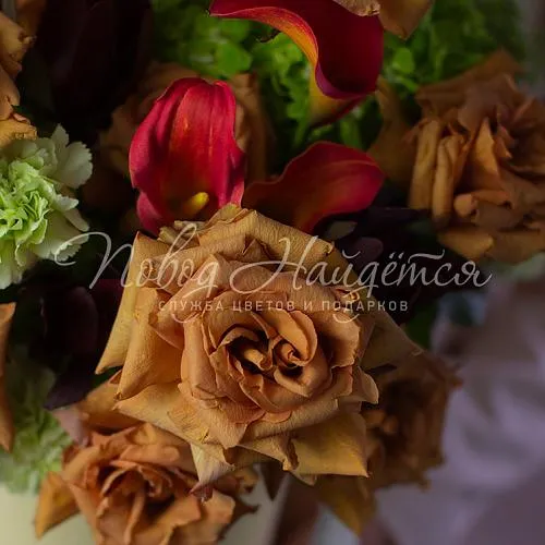 Мужская коллекция Коллекция Брауни