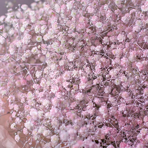 3500 - 5500 руб. Букет Пудровый аромат