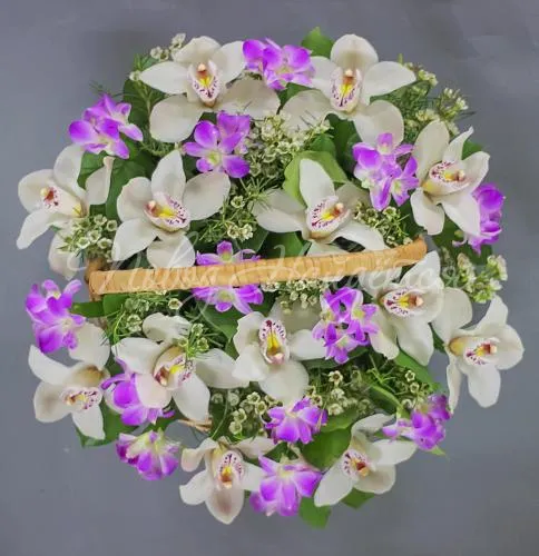 Корзины с орхидеями Корзина Альпика