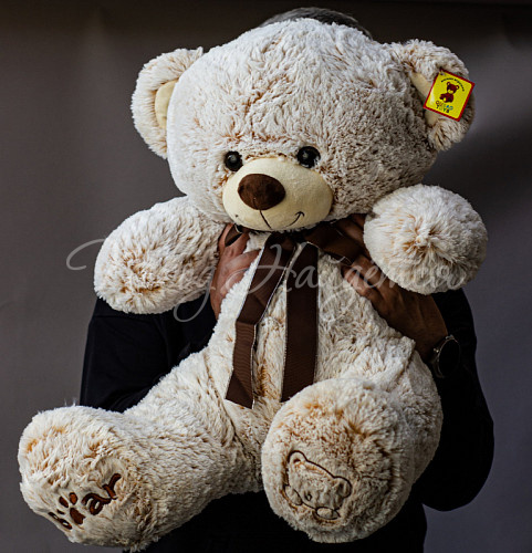 Мягкие игрушки Бурый мишка, 80 см