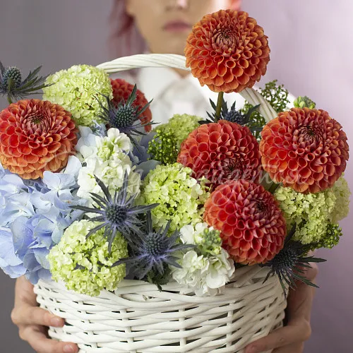 Корзины Корзина Барбарис