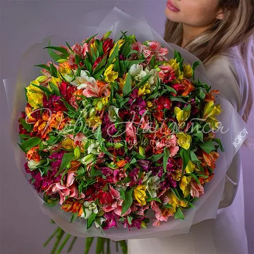 Монобукеты из альстромерии Букет Яркая ночь