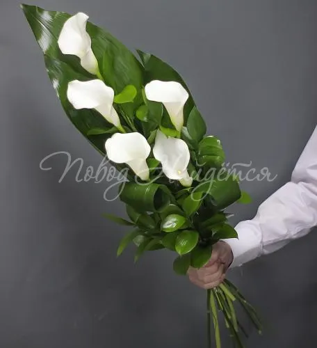 КАЛЛЫ Букет Изысканный