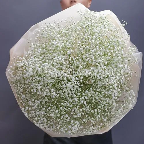 Цветы Букет Соло