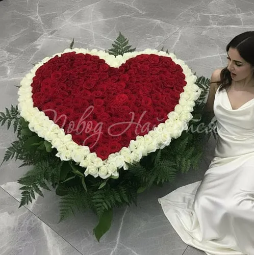 501 роза Букет Безумно влюблен