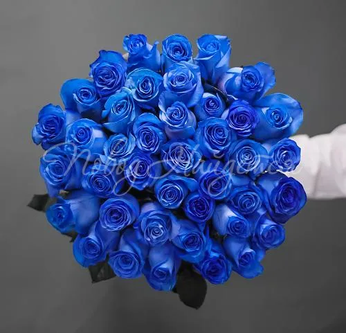 Синие розы Букет Париж