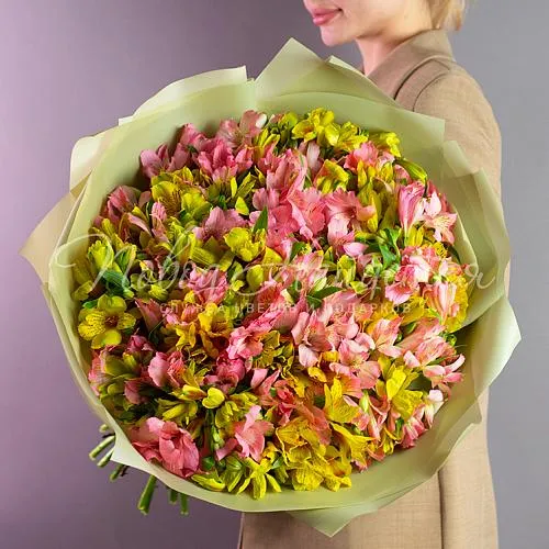 Монобукеты из альстромерии Букет Сказочная ночь