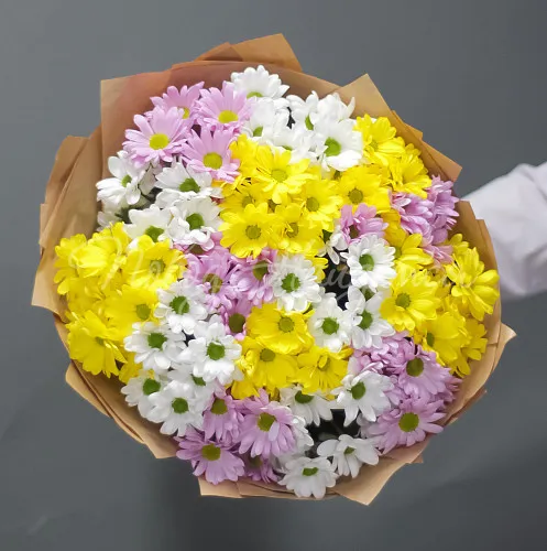 ХРИЗАНТЕМЫ Букет 15 хризантем