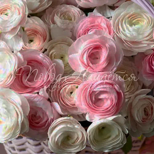 Букеты с РАНУНКУЛЮСАМИ Букет Хрустальная мечта