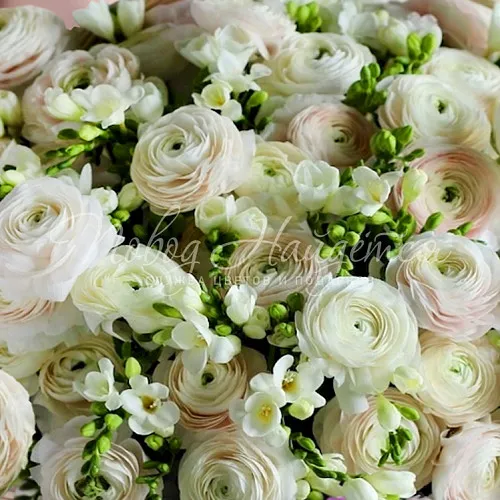 Букеты с РАНУНКУЛЮСАМИ Букет Ранель