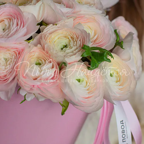 Букеты с РАНУНКУЛЮСАМИ Букет Ренесми