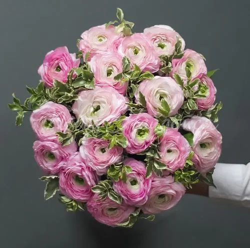 Букеты с РАНУНКУЛЮСАМИ Букет Беззаботное счастье